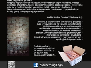 Katalog BAUHERR - Stara Cegła 4 - zdjęcie od BAUHERR Stare Cegły