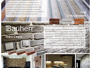 BAUHERR Stare Cegły - Domy, styl industrialny - zdjęcie od BAUHERR Stare Cegły