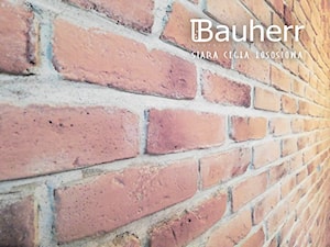 stare cegły łososiowe - zdjęcie od BAUHERR Stare Cegły