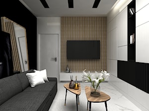 Apartament Plac na stawach - Salon, styl nowoczesny - zdjęcie od BOKA Pracownia Wnętrz