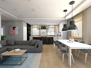 (Sochaczew) Projekt domu jednorodzinnego 8 - Średni biały szary salon z kuchnią z jadalnią, styl skandynawski - zdjęcie od BAGUA Pracownia Architektury Wnętrz