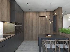 (Dom w okolicy Lublińca) Projekt domu jednorodzinnego 7a - Średnia otwarta z zabudowaną lodówką kuchnia jednorzędowa, styl nowoczesny - zdjęcie od BAGUA Pracownia Architektury Wnętrz