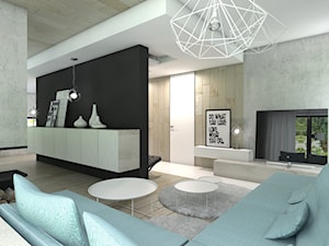 Projekt domu jednorodzinnego 5 - Salon, styl nowoczesny - zdjęcie od BAGUA Pracownia Architektury Wnętrz