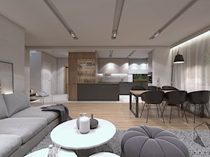 (Zawiercie) Projekt domu jednorodzinnego 12 - Salon, styl nowoczesny - zdjęcie od BAGUA Pracownia Architektury Wnętrz