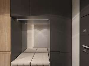 (Zawiercie) Projekt domu jednorodzinnego 12 - Hol / przedpokój, styl nowoczesny - zdjęcie od BAGUA Pracownia Architektury Wnętrz