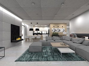 Projekt domu jednorodzinnego 3 - Duży biały szary salon z kuchnią z jadalnią, styl nowoczesny - zdjęcie od BAGUA Pracownia Architektury Wnętrz