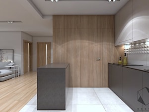 (Zawiercie) Projekt domu jednorodzinnego 12 - Kuchnia, styl nowoczesny - zdjęcie od BAGUA Pracownia Architektury Wnętrz