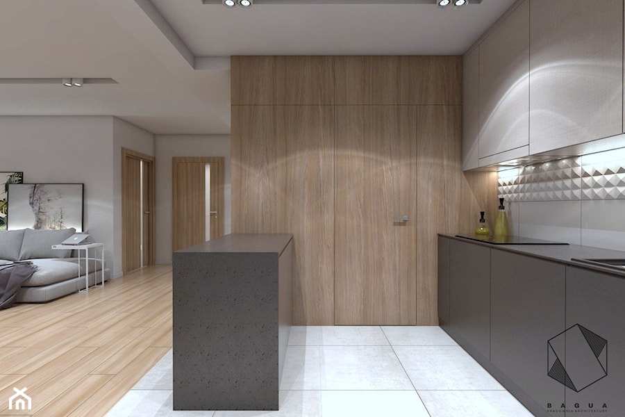 (Zawiercie) Projekt domu jednorodzinnego 12 - Kuchnia, styl nowoczesny - zdjęcie od BAGUA Pracownia Architektury Wnętrz