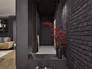 M12 - mieszkanie w Dąbrowie Górniczej - Średni czarny hol / przedpokój, styl nowoczesny - zdjęcie od BAGUA Pracownia Architektury Wnętrz