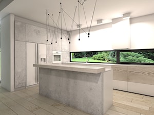 Projekt domu jednorodzinnego 5 - Kuchnia, styl nowoczesny - zdjęcie od BAGUA Pracownia Architektury Wnętrz