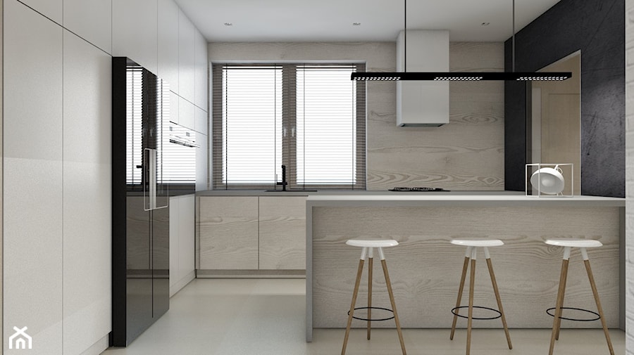 Projekt domu jednorodzinnego 6 - Kuchnia, styl nowoczesny - zdjęcie od BAGUA Pracownia Architektury Wnętrz