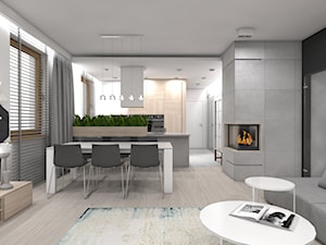 (Tarnowskie Góry) Projekt domu jednorodzinnego 1 - Średni biały szary salon z kuchnią z jadalnią, styl nowoczesny - zdjęcie od BAGUA Pracownia Architektury Wnętrz