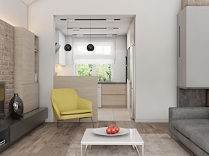 (Tarnowskie Góry) Projekt domu jednorodzinnego 14 - Salon, styl nowoczesny - zdjęcie od BAGUA Pracownia Architektury Wnętrz