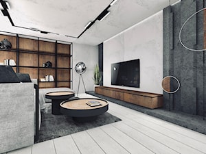 Industrialne wnętrze - Salon, styl minimalistyczny - zdjęcie od MONOFORMA
