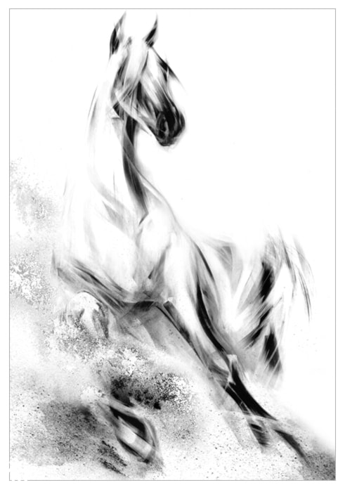 ełen energii obraz, dynamiczny motyw - Koń Arabski, Seria Wiedeń. - zdjęcie od Galeria w Chmurach