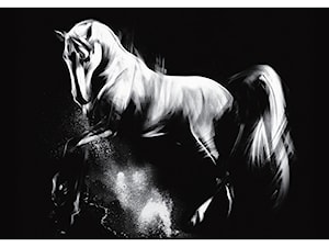 Obraz na płótnie do salonów i sypialni - Koń, Seria Wiedeń. - zdjęcie od Galeria w Chmurach