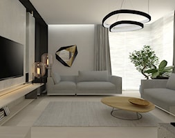 nowoczesny mały salon z dwiema szarymi sofami - zdjęcie od Atelier 37 | architektura & projektowanie wnętrz - Homebook