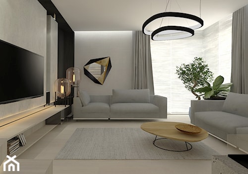 nowoczesny mały salon z dwiema szarymi sofami - zdjęcie od Atelier 37 | architektura & projektowanie wnętrz
