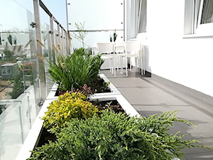 Zielony balkon - Taras, styl nowoczesny - zdjęcie od zielonym2