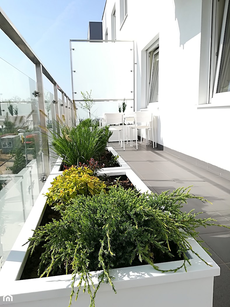 Zielony balkon - Taras, styl nowoczesny - zdjęcie od zielonym2 - Homebook