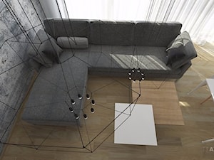 Wnętrza Domów - Salon, styl nowoczesny - zdjęcie od T3 Atelier