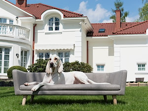 PSIAnapa ZOE - zdjęcie od Pies na kanapie. Ekskluzywne legowiska dla psów.