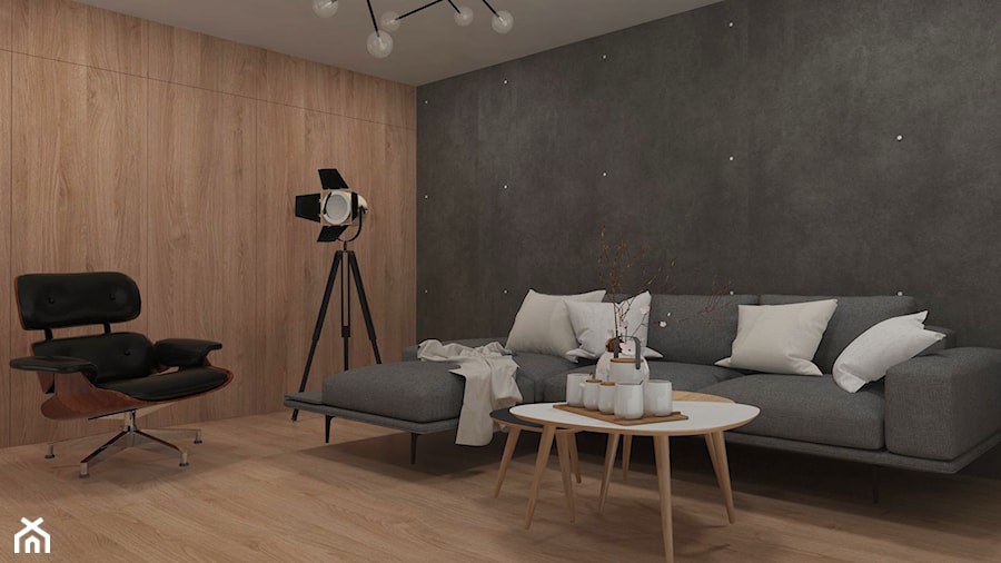 Mały salon w nowoczesnym stylu - zdjęcie od Dominika Kurzak HousefDesign
