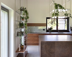 dom pod lasem - Kuchnia, styl minimalistyczny - zdjęcie od BRZUSKArchitekt - Alicja Brzuska - Homebook