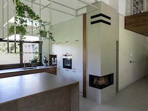 dom pod lasem - Kuchnia, styl nowoczesny - zdjęcie od BRZUSKArchitekt - Alicja Brzuska