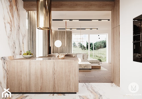 Niepołomice // Projekt domu - Kuchnia, styl nowoczesny - zdjęcie od MADO design