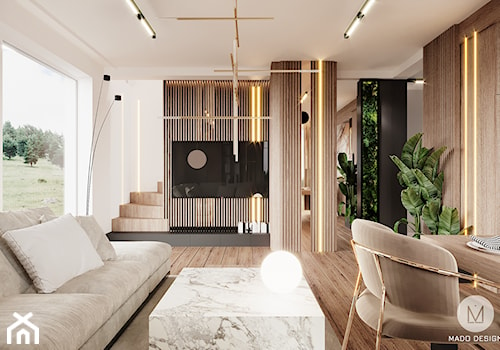 Niepołomice // Projekt domu - Salon, styl nowoczesny - zdjęcie od MADO design