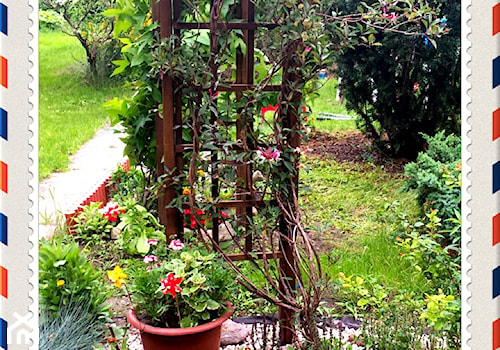 #kwiatowekompozycje - Średni ogród za domem z pergolą - zdjęcie od Eva&B