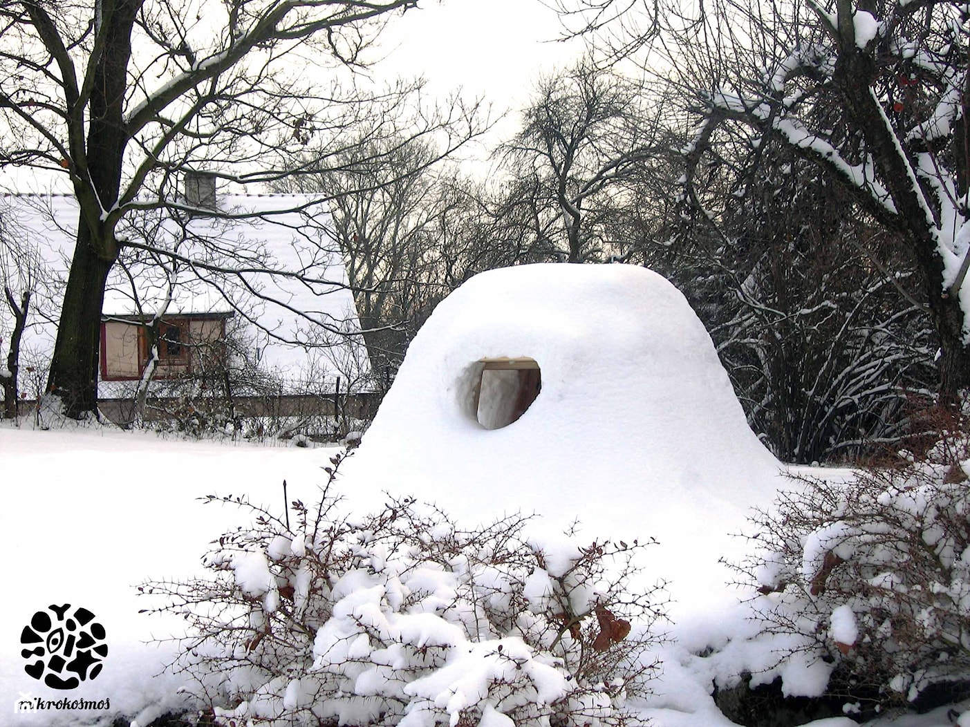 (B)azyl - drewniany domek do budowania igloo - zdjęcie od MIKROKOSMOS - Homebook