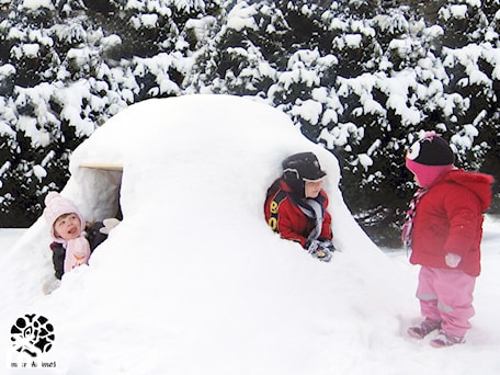 Aranżacje wnętrz - Ogród: (B)azyl - drewniany domek do budowania igloo - MIKROKOSMOS. Przeglądaj, dodawaj i zapisuj najlepsze zdjęcia, pomysły i inspiracje designerskie. W bazie mamy już prawie milion fotografii!