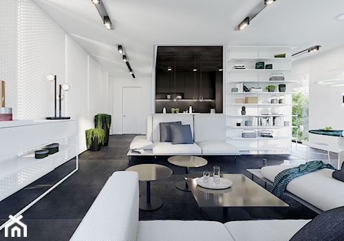Apartament Subtrakt - Mała otwarta z salonem czarna kuchnia w kształcie litery u, styl minimalistyczny - zdjęcie od KANDO ARCHITECTS