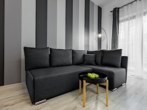 Apartament Szczecin - Salon - zdjęcie od Tomasz Wachowiec Fotografia