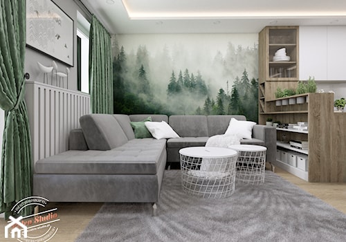 Mieszkanie SR - Średni biały szary zielony salon z kuchnią z bibiloteczką, styl skandynawski - zdjęcie od Retro Studio