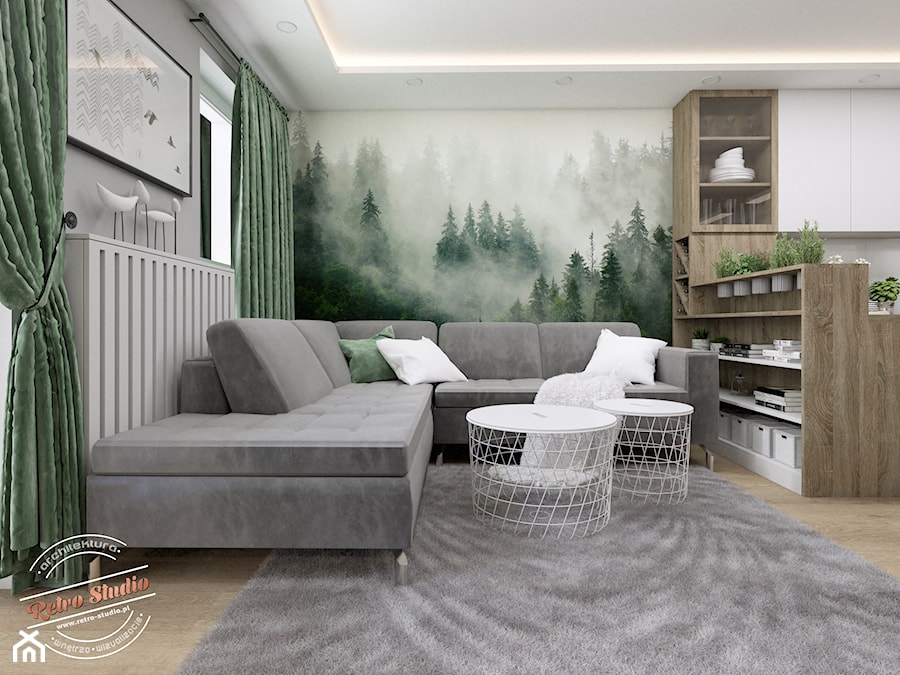 Mieszkanie SR - Średni biały szary zielony salon z kuchnią z bibiloteczką, styl skandynawski - zdjęcie od Retro Studio