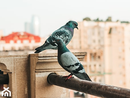 Aranżacje wnętrz - : - Justyna Ka. Przeglądaj, dodawaj i zapisuj najlepsze zdjęcia, pomysły i inspiracje designerskie. W bazie mamy już prawie milion fotografii!