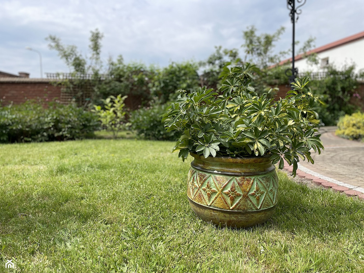 Coronado - meksykańska donica ogrodowa - zdjęcie od Cerames - Homebook
