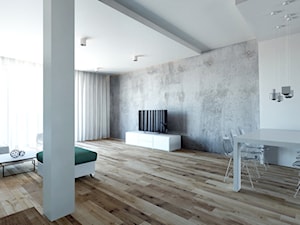 Koncepcja domu jednorodzinnego, WROCŁAW - Salon, styl nowoczesny - zdjęcie od Paleta Form