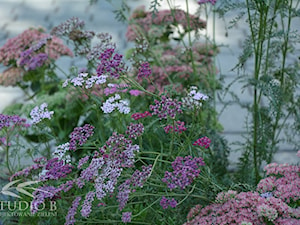 Ogród bez trawnika - zdjęcie od Studio B architektura krajobrazu Bogumiła Bulga