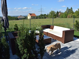 Ogród miejski 3 - Ogród, styl nowoczesny - zdjęcie od Studio B architektura krajobrazu Bogumiła Bulga