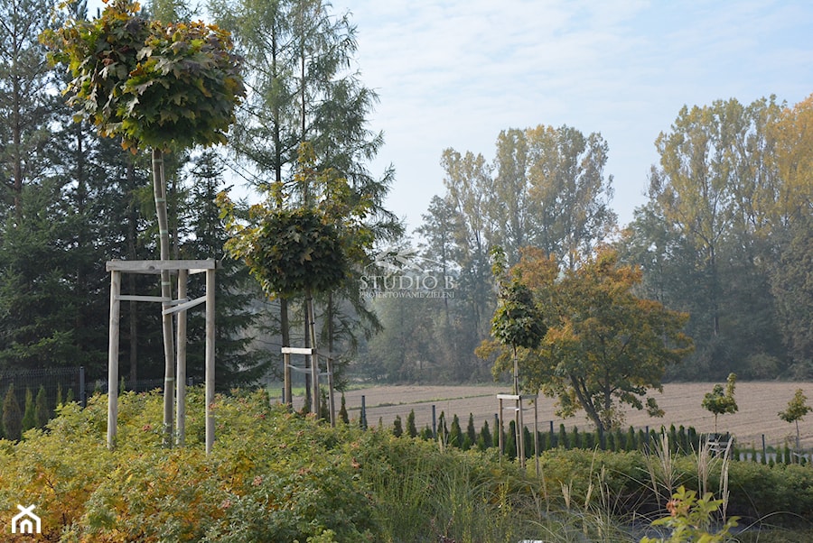 Ogród glamour - Ogród - zdjęcie od Studio B architektura krajobrazu Bogumiła Bulga