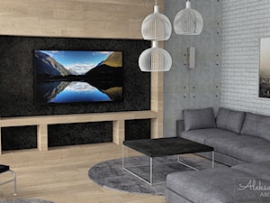 Duży narożnik w salonie - zdjęcie od Aleksandra Tymińska Projektowanie Wnętrz