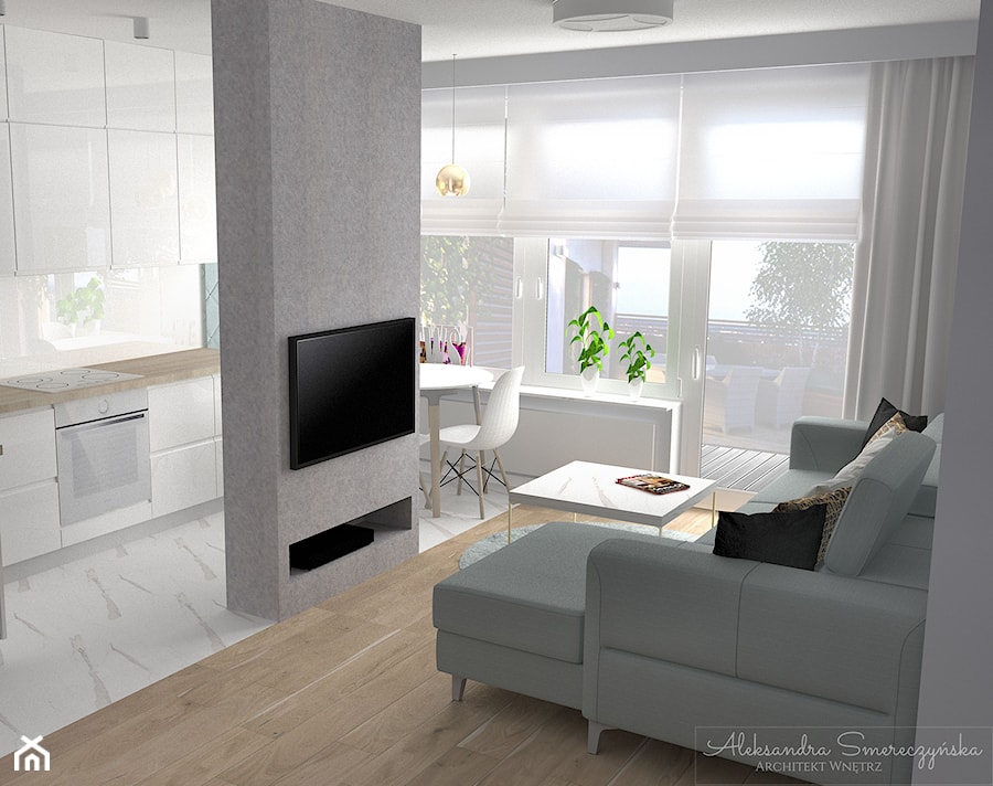 Ścianka TV oddzielająca salon od kuchni - zdjęcie od Aleksandra Tymińska Projektowanie Wnętrz