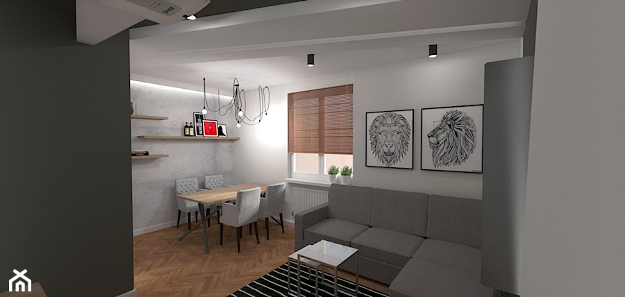 Mieszkanie dla singla - Salon, styl minimalistyczny - zdjęcie od INDOMDESIGN