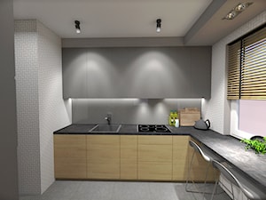 Kuchnia z łazienką w odcieniach szarości - Kuchnia, styl minimalistyczny - zdjęcie od INDOMDESIGN
