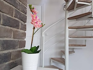 białe schody spiralne - zdjęcie od Innerium Karolina Trojga