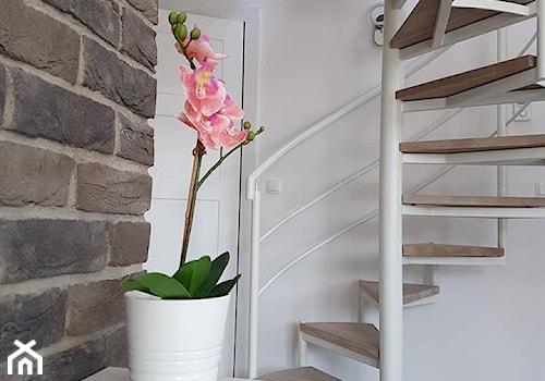 białe schody spiralne - zdjęcie od Innerium Karolina Trojga